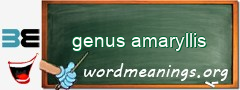 WordMeaning blackboard for genus amaryllis